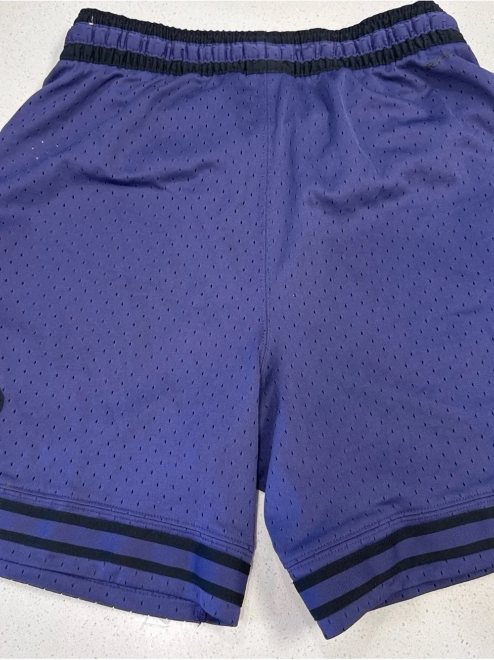 Jordan Men's Athletic Mesh Shorts in Purple and Black